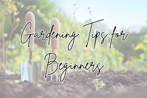 Gardening for Beginners