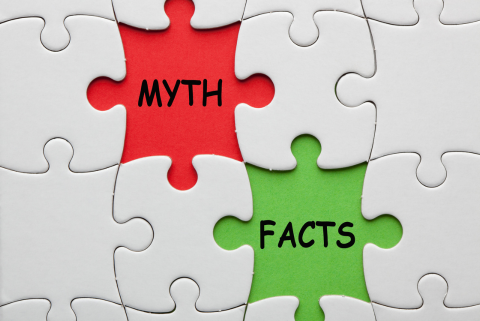 Michigan Summer Insurance Myths